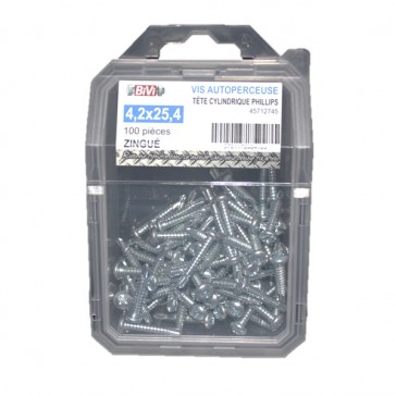 Vis autoperceuse tête cylindrique empreinte Phillips® Zingué - 3,5 x 12,7 mm Coque de 100 pièces