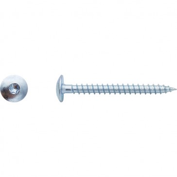 Vis pour penture Torx® Zingué - 6 x 50 mm